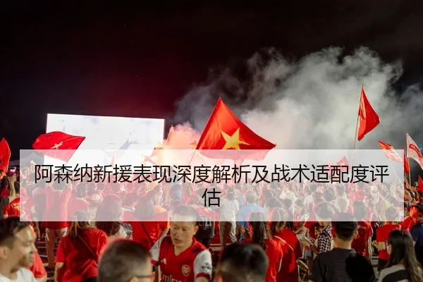 阿森纳新援表现深度解析及战术适配度评估